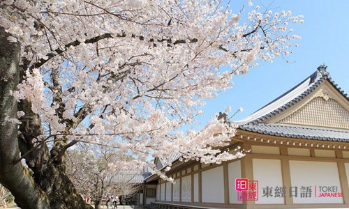 日本留学语言培训学校-苏州日语