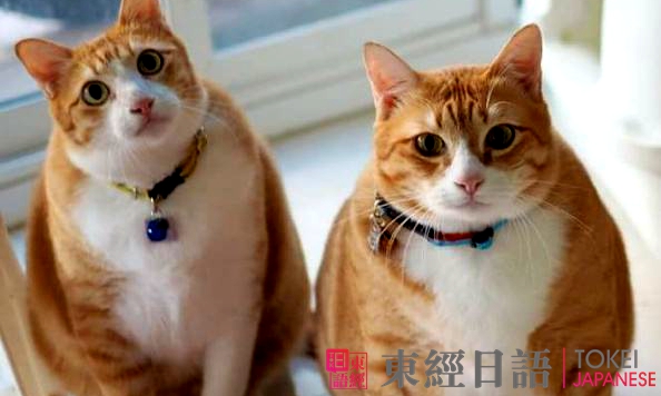 日语厉害怎么说