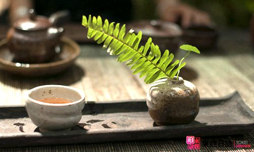 日本茶的说法-苏州日语-苏州日语培训班
