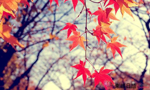季节日语词汇-苏州日语-苏州新区日语培训