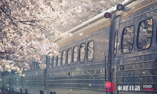 日本樱花-日本旅游-日语口语