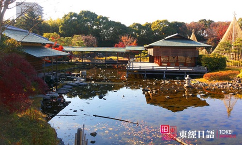 日本名古屋旅游攻略：休闲的白鸟庭园