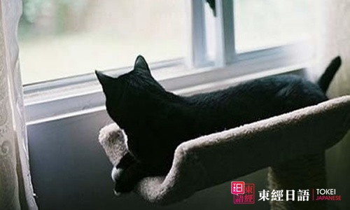 黑猫-学日文